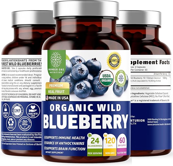 Number One Nutrition USDA Organic Wild Blueberry Extract Equivalent to 24 Whole Blueberries Supports Immune Health 120 Vegan Capsules