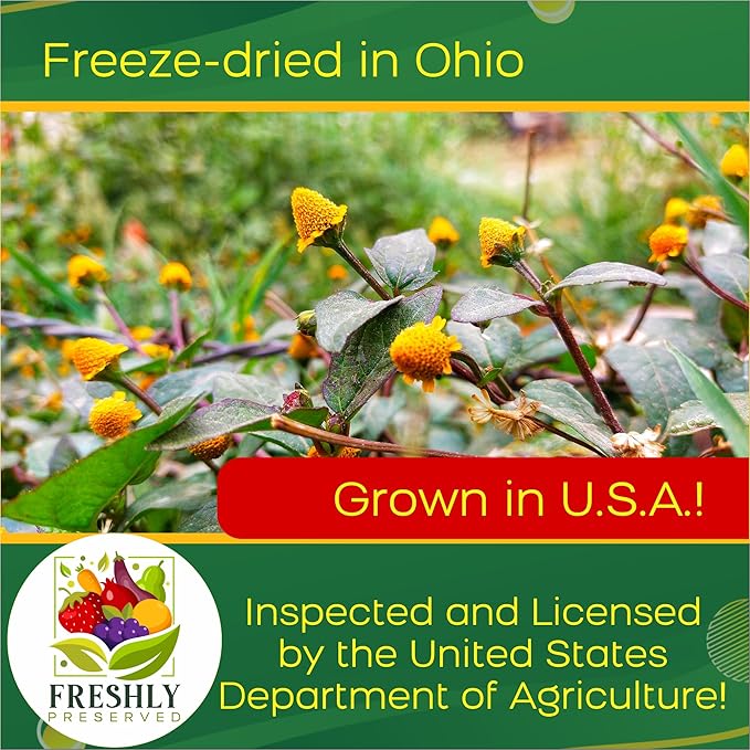 Buzz Buttons Edible Flowers for Cocktails &amp Desserts - 20 USA Grown Flowers for Drink Garnish - Freeze-dried Spilanthes/Szechuan Button/Acmella Oleracea Flowers (0.2 oz)