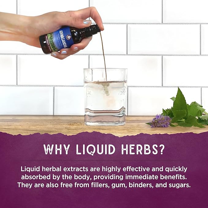 WishGarden Herbs Kick-Ass Biotic Immune Hero - Plant-Based Herbal Biotic Formula with Usnea Lichen Hops Echinacea &amp Goldenseal Supports Healthy Immune Respiratory &amp Lymph System Function