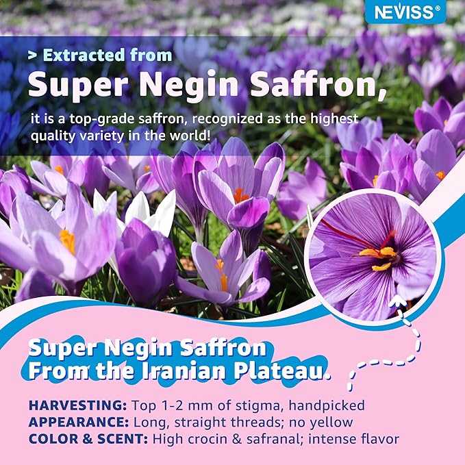 Saffron + Magnesium Glycinate+ Omega-3 - Calm Focus Gummies for Kids 4+ Saffron Extract Supplement with L-Theanine Holy Basil Rosemary B6 B9 B12 D3 for Happy Mood Cognition ZZz Sugar Free