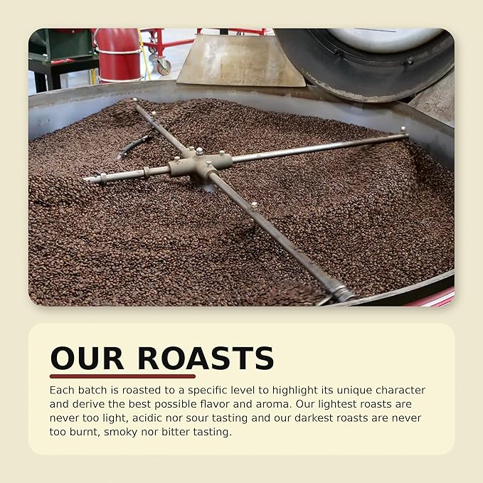 Verena Street Single Cup Pods (72 Count) Light Medium Roast Coffee Lock &amp Dam 11 Rainforest Alliance Certified Arabica Coffee