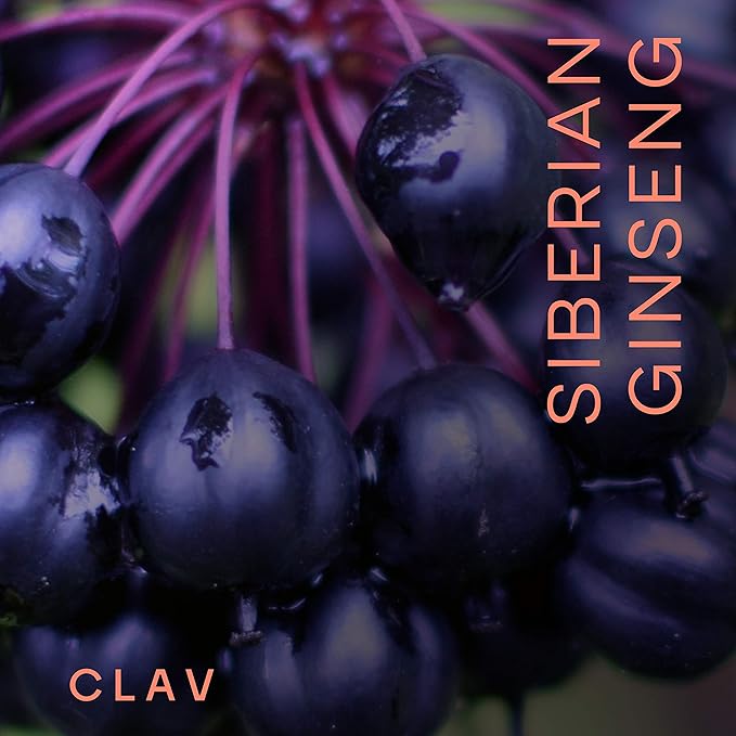 CLAV® Siberian Ginseng - 900mg Eleuthero Root Powder - Energy Supplement - Reduction of Tiredness &amp Fatigue - 60 Ginseng Capsules - Made in Germany