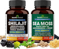 Shilajit Sea Moss Ashwagandha Combo Bundle - Black Seed Oil Turmeric Rhodiola Rosea Panax Ginseng Supplement | 120 Capsules Better Than Gummies Resin | Seamoss for Men &amp Women