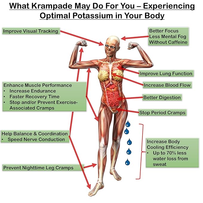 Krampade Anti-Cramping Potassium Replacement Sports Drink - 2K Fruit Punch Single Serve Colorless