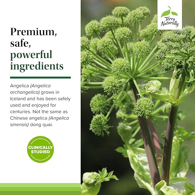 Terry Naturally SagePro Bladder - Bladder Support Supplement - Dietary Supplement with Angelica Leaf Extract - Vegan Capsules to Aid Urinary Tract Function &amp Health - 30 Capsules