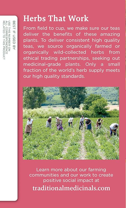 Traditional Medicinals Organic Healthy Cycle Raspberry Leaf Herbal Tea Supports a Menstrual Cycle (Pack of 4) - 64 Tea Bags Total 64.0 Count