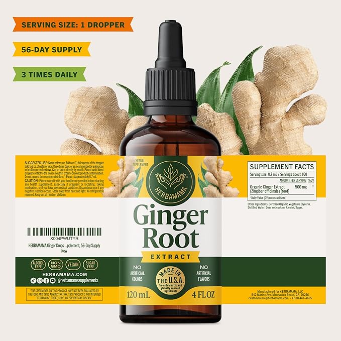 HERBAMAMA Ginger Drops - Vegan Digestive Support &amp Overall Well-Being with Ginger Root Extract Tincture - Non-GMO Alcohol &amp Sugar-Free Liquid Antioxidant Supplement 56-Day Supply