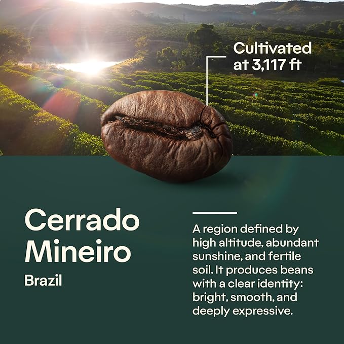 4-Pack Specialty Variety Coffee Kit – Arabica Ground in Brazil – Explore Artisanal Flavor Notes of Chocolate Caramel Fruits and Spices – Carefully Harvested Medium Roast – Brazilian Coffee King