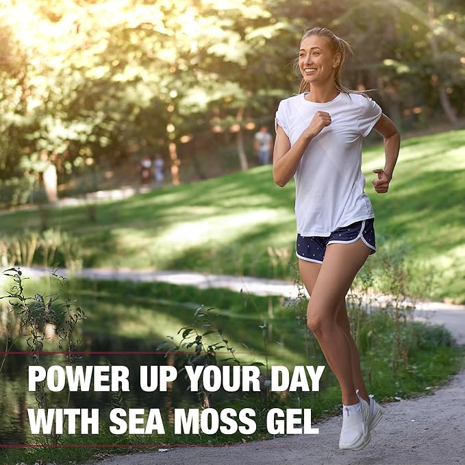 Biolore Wildcrafted Sea Moss Gel - Elderberry 16 oz - Flavored Sea Moss Gel with Essential Vitamins &amp Trace Minerals - Vegan Superfood - Made in USA Gluten-Free No Added Sugar