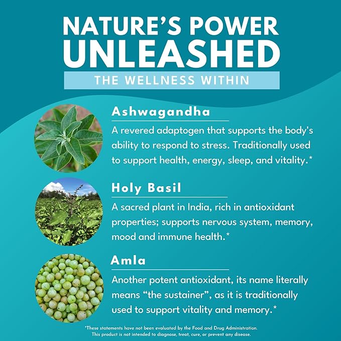Bold Botanica Ashwagandha Plus – Ashwagandha Supplement for Women &amp Men – Stress Mood Memory &amp Energy Support – Triple Adaptogenic Formula with Amla &amp Holy Basil 1 Capsule Daily – 30 Ve