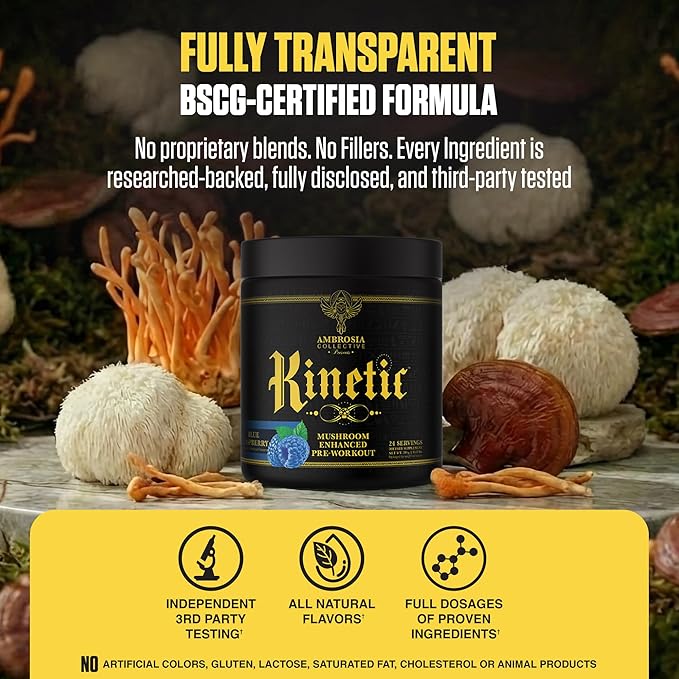 Ambrosia Kinetic - Organic Pre Workout Powder | Mushroom-Enhanced Natural Pre Workout | Nootropic Superfood Powder for Clean Energy Focus Recovery | 24 Servings | Blue Raspberry