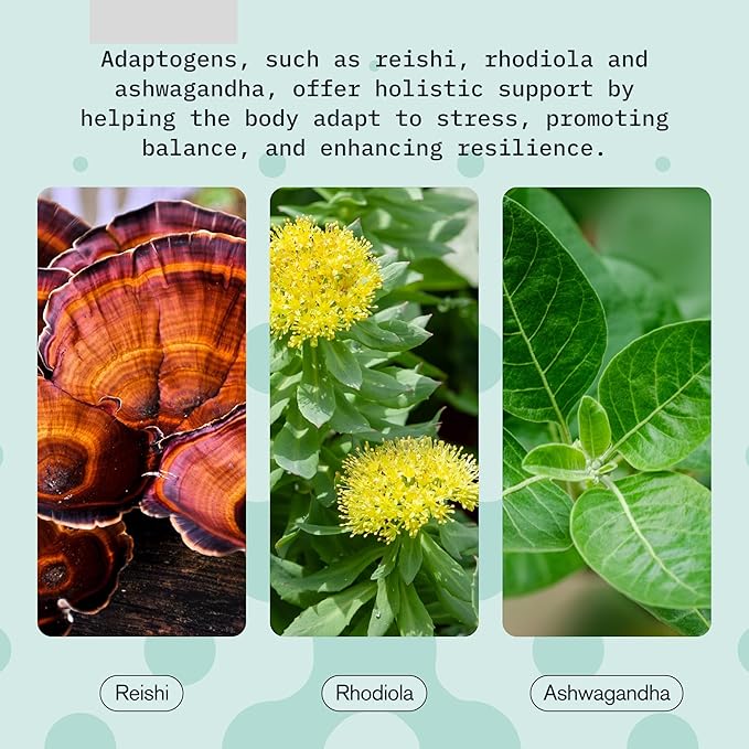 Relax Drink for Relaxation and Stress Relief Contains Ashwagandha Rhodiola Rosea and Reishi Mushroom with Advanced Nanoscience Technology 3 Pack Calm Nervous System Berry Hibiscus 2oz