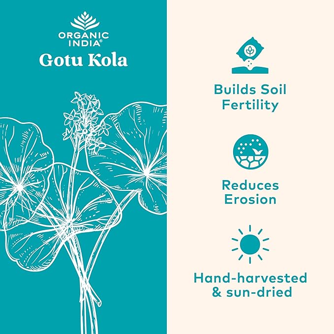 ORGANIC INDIA Gotu Kola Herbal Supplement - Adaptogen for Brain &amp Nervous System Support Vegan Gluten-Free Kosher USDA Certified Organic Non-GMO Calming Mental Clarity - 90 Capsules