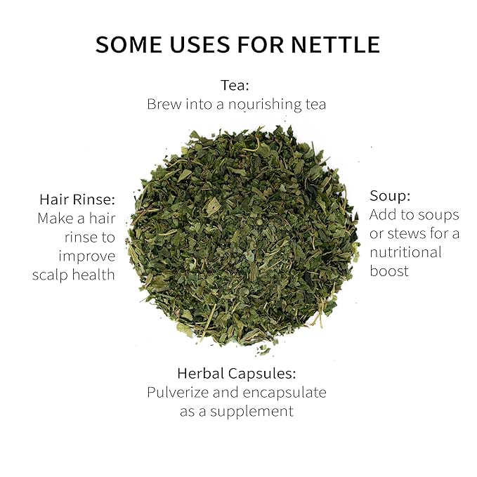Wild-Harvested Wisconsin Nettle Leaf (Urtica dioica) | Whole Loose Leaf Botanical | 5.5 oz | 77 Servings | Sacred Blossom Farm | Single Source
