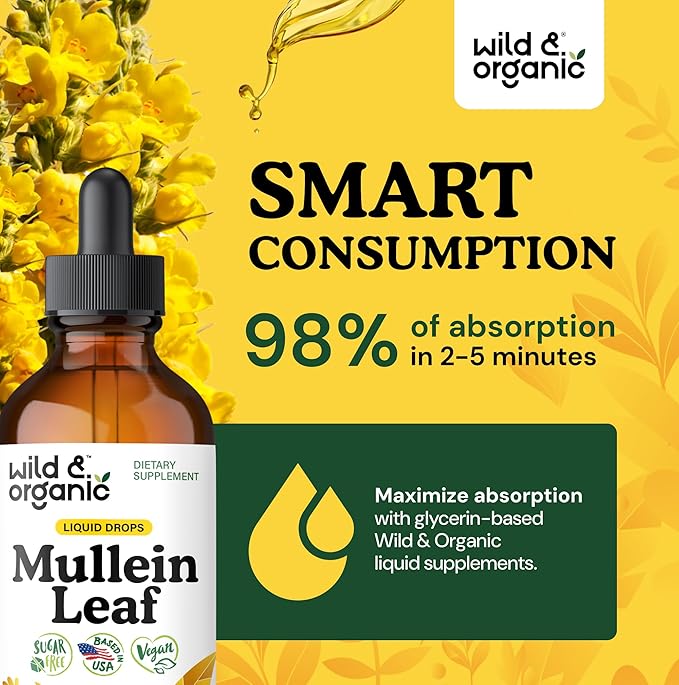 Wild &amp Organic Mullein Drops for Lungs - Herbal Cleanse and Detox - Liquid Mullein Leaf Extract for Lungs with Echinacea - Verbascum Thapsus Tincture - Vegan Sugar &amp Alcohol-Free Supplement -