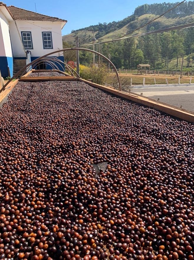 Exotic Specialty Coffee Black Tucano - Brazilian Medium Roast with Sublime Fruit Notes - Coffee - 8.8 Ounces 250 Gr Ground