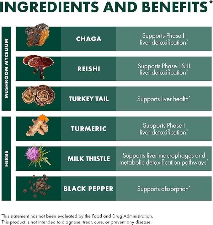Host Defense MycoBotanicals Liver* Capsules - Liver Health Supplement with Milk Thistle &amp Turmeric Root - Mushroom Supplement with Turkey Tail Reishi &amp Chaga - 60 Capsules (30 Servings)*