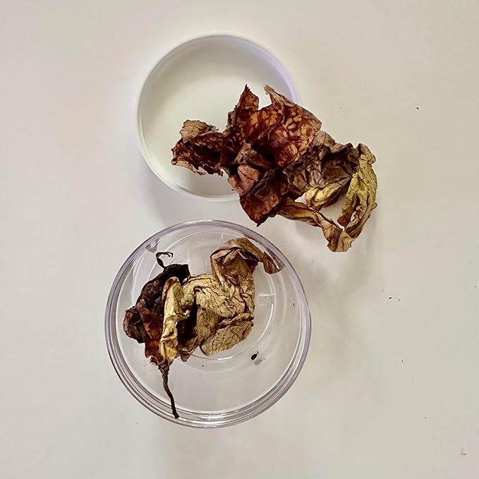 Jamaican Duck Flower Detox
