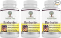 Simply Natures Pure Premium Berberine HCl 500mg - 120 Capsules - Cardiovascular Gastrointestinal Immune Support - Chromium Cinnamon (Pack of 3)