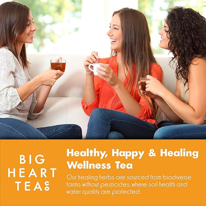 Big Heart Tea Co. Spicy Tea Bags Gift Set - Certified Organic Ayurvedic Herbal Tea - Small Batch Ground Herbs Spices in Zero Plastic Sachets - Healthy Tea Variety Box - 3 Flavors 30 Pack