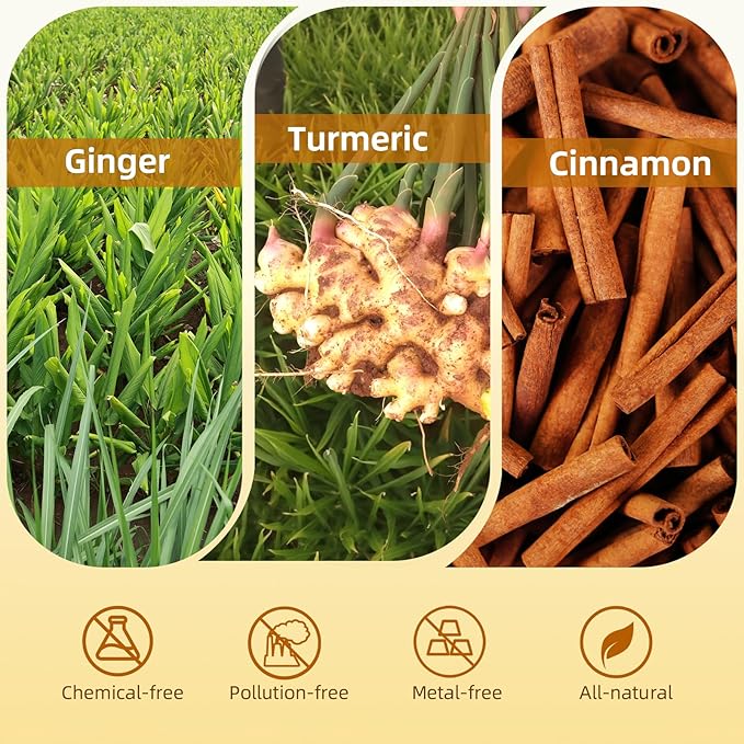 120 Bags Premium Turmeric Ginger Cinnamon Tea Bags Premium Natural Ingredients Turmeric Ginger Herbal Blend with Cinnamon No Sugar Caffeine-FreeTurmeric Ginger Cinnamon Tea（1Pack/120Bags）