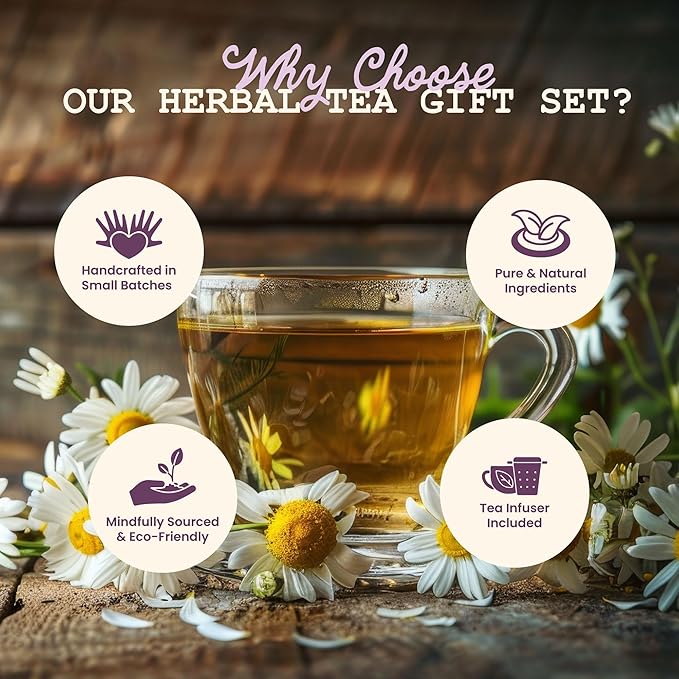 Smoke Camp Crafts Loose Leaf Herbal Tea Gift Set with Stainless Steel Infuser 10 Unique Flavors Handcrafted USDA Organic Tisane Tea Sampler Pack of 10 Jars