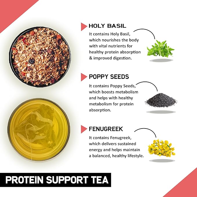 TEACURRY Protein Support Tea (30 Tea Bags 1 Month Pack) - Enhances Protein Absorption for Strength Better Energy &amp Reduce Fatigue | 100% Plant-Based Tea