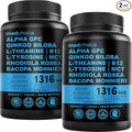 12-in-1 Nootropic Brain Supplement Anhydrous: Ginkgo Biloba for Brain Support Memory and Focus - B12 Alpha GPC L Theanine and Choline Supplements with Bioperine non Caffeinated 1321mg (120ct)