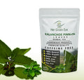 200 kalanchoi pinnata - leaves Dried Leaves Herbal Tea