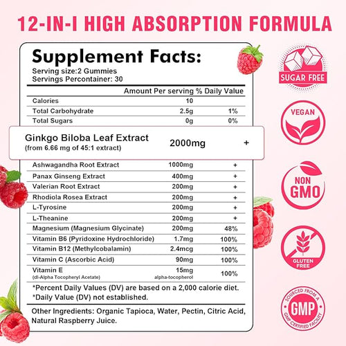 2 Pack Ginkgo Biloba Gummies with Panax Ginseng and Magnesium Ginkgo Biloba Supplements for Focus Memory and Brain Health for Adults &amp Kids Vegan Raspberry Flavor Gummies 120 Count