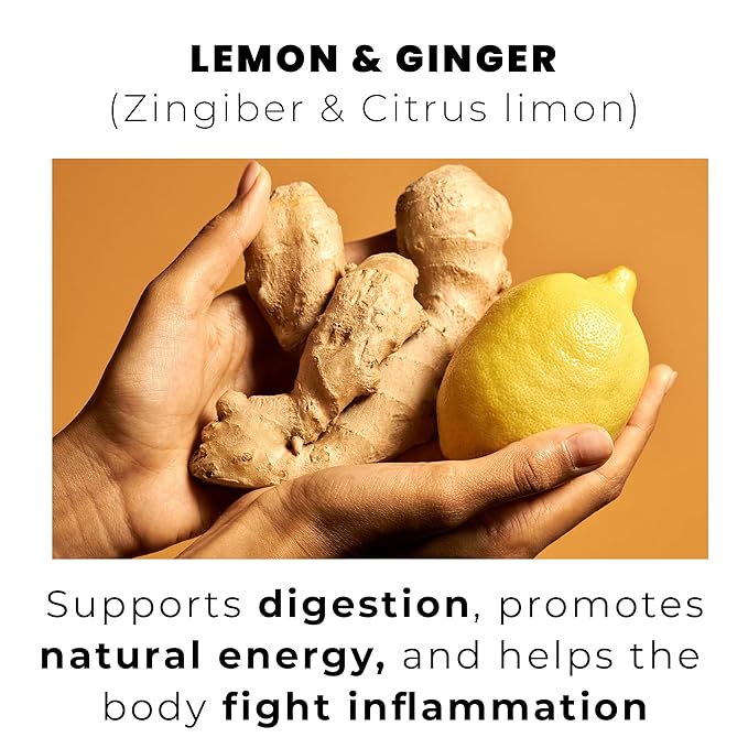 Yellow.fit Ginger Lemon Herbal Tea Bags – 1500mg Loose Leaf Tea Bags Caffeine-Free Herbal Tea with Ginger Root &amp Lemon Peel Plant-Based Tea Bags 100 Count