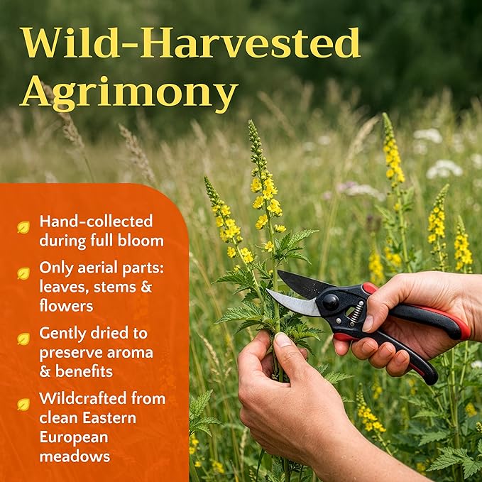 Agrimony Herb 1lb Tea - Dried Agrimonia Eupatoria - Cut &amp Sifted Fresh Herbal Loose Teas