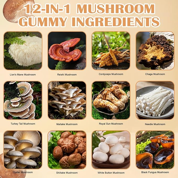 Lions Mane Mushroom Supplement Gummies - All-in-One Daily Mushroom Supplement Gummy 12 Mushroom Blend Cordyceps Chaga Reishi Herbal Brain Supplement for Cognitive Memory &amp Focus60 Gummies