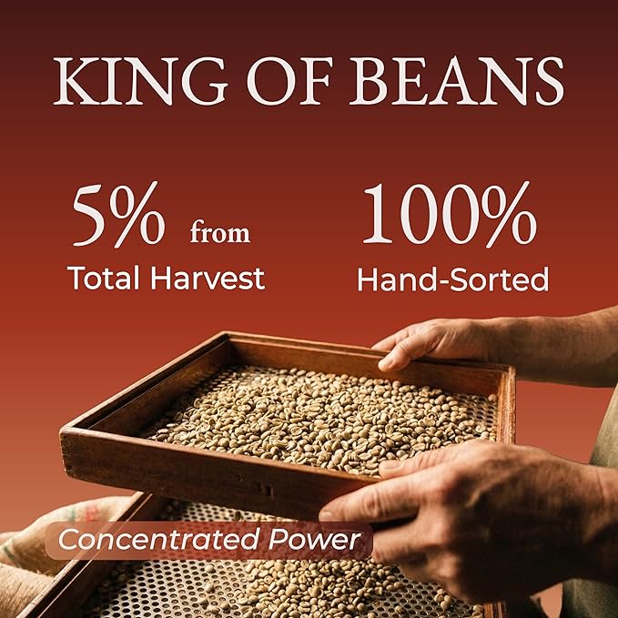 Cafely BanMe - Rare Peaberry Robusta Ground Vietnamese Coffee – Dark Roast High Caffeine (Rich &amp Intense) Full Body Low Acid Single Origin Direct Trade For Phin French Press Cold Brew 12