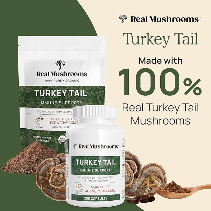 Real Mushrooms Turkey Tail Capsules – Organic Mushroom Extract for Wellness &amp Daily Rhythm – Vegan Non-GMO No Fillers Turkey Tail Extract – 90 Count Mushroom Supplement (Pack of 2)
