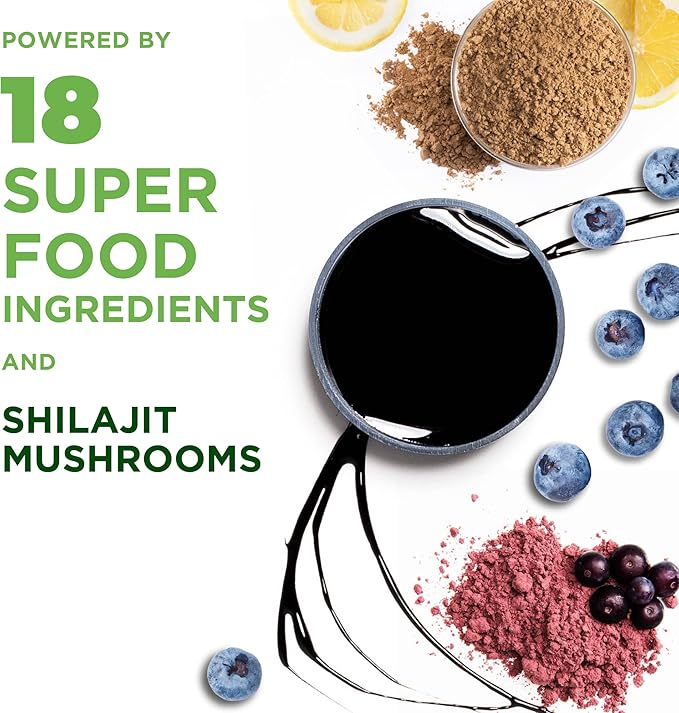 Laird Superfood Activate Prebiotic Daily Greens Powder Drink Supplement Himalayan Shilajit Powder and Functional Mushrooms Supports Gut Microbiome 4.2 Oz Bag Pack of 1
