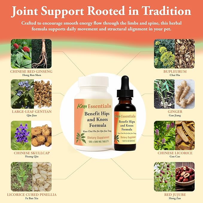 Kan Herb Company Benefit Hips and Knees Formula – Traditional Chinese Herbal Blend for Dogs and Cats to Support Joint Comfort Mobility &amp Digestive Balance Liquid Herbal Supplement for Pets 1 f