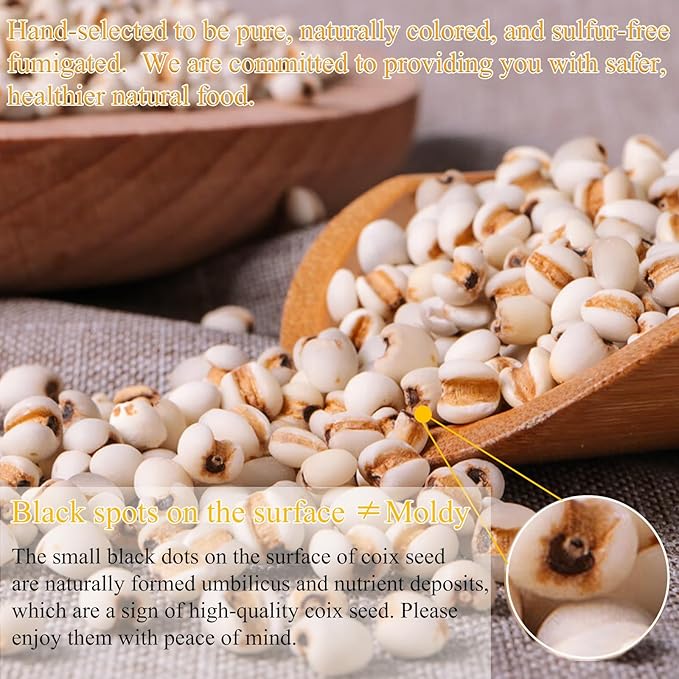 Job's Tears Coix Seed Jobs Tears Seeds 薏米 薏苡仁 Natural Pearl Barley Coix Rice Health Grain No addition Sulfur Free 12.34oz/350g