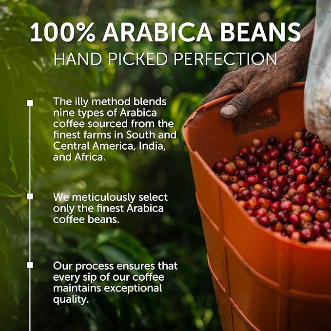 illy Whole Bean Coffee India Single Origin Dark Roast 100% Arabica Premium Italian Coffee Ideal for Espresso Drip Moka and French Press Brewing 8.8oz 6 Pack