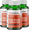 INFINITE AGE 3 Pack of 1250mg Sea Moss Advanced Superfood Capsules 180 Count - High-Potency Vegan Made in The USA - Irish Seamoss Bladderwrack Burdock Root - Overall Health Immunity Support