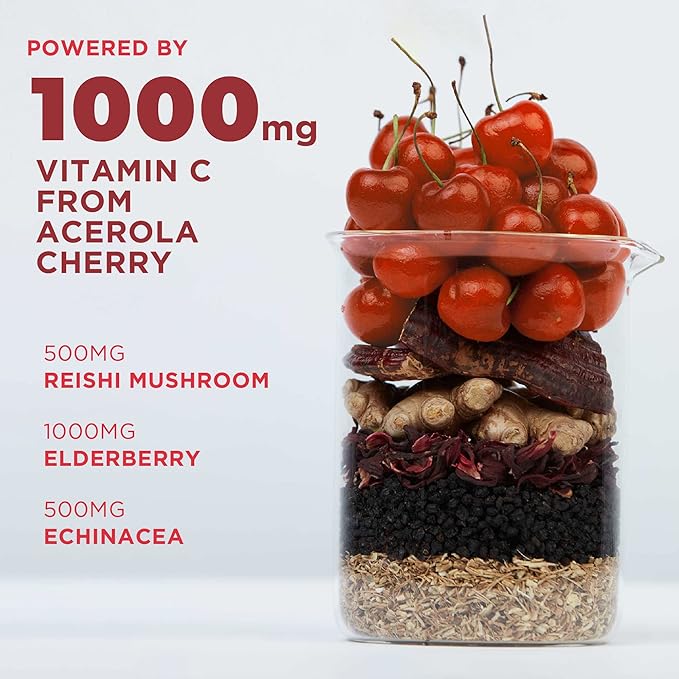Laird Superfood Activate Immune Support Powder Drink Supplement 1000 mg of Vitamin C from Acerola Cherry Elderberry Echinacea and Reishi Mushroom 7.75 Gram Stick Pack of 10