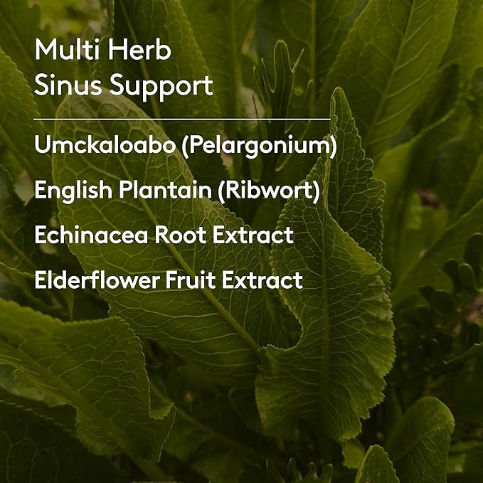 Children's Ear Nose &amp Throat Syrup Herbal Formula for Sinuses &amp Seasonal Wellness Includes Echinacea Pelargonium &amp Elderflower Plant-Based - 5.1 Fl oz (30 Servings)