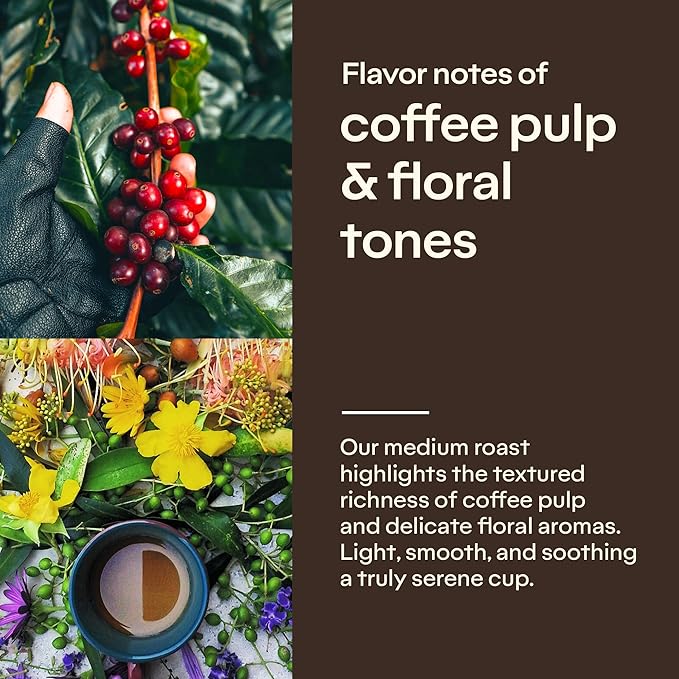 4-Pack Specialty Whole Bean Coffee Peacefully – Arabica Roasted on the Farm – Freshness and Authentic Flavor Notes of Chocolate Vanilla and Nuts – Carefully Harvested – Brazilian Coffee King