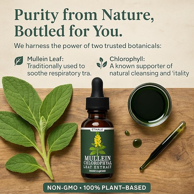 ETHALE Mullein Drops for Lungs – Natural Herbal Supplement with Mullein Leaf &amp Chlorophyll – Daily Lung and Breathing Support – 30 Day Supply Non-GMO Plant-Based Formula (2)