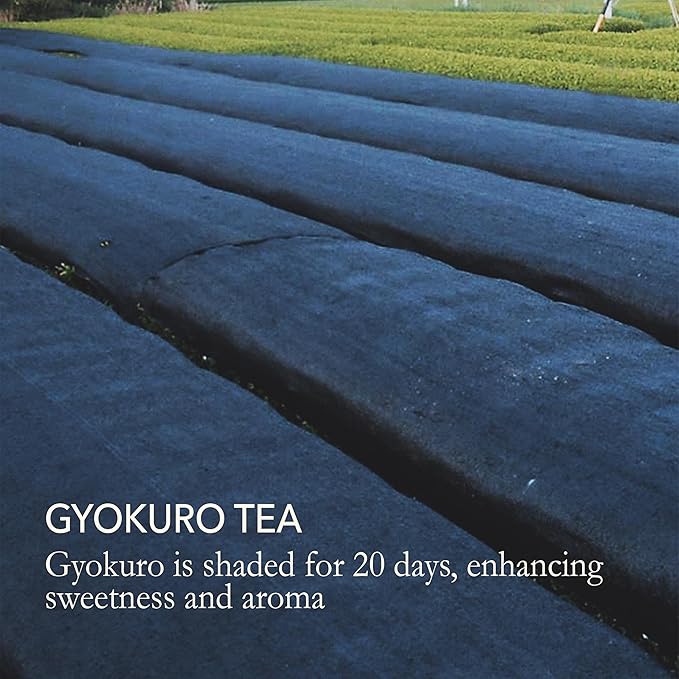 Japanese Green Tea Co. Gyokuro Green Tea Loose Leaf (100 g) – Shade Grown Jade Dew Leaves – Smooth Umami-Rich Brew from Japan – High-Caffeine Cold Brew Friendly