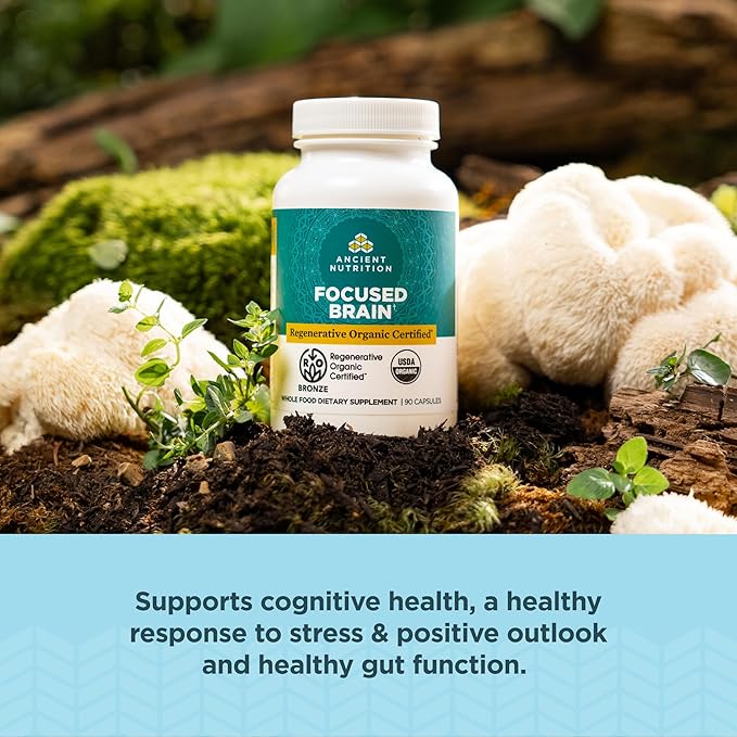 Ancient Nutrition Regenerative Organic Certified Focused Brain Capsules Made with Ginkgo Leaf Lion's Mane to Help Reduce Stress Gluten Free Paleo and Keto Friendly 90 Count