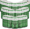 Fever Tree Premium Ginger Ale - Premium Quality Mixer and Soda - Refreshing Beverage for Cocktails &amp Mocktails 150ml Bottle