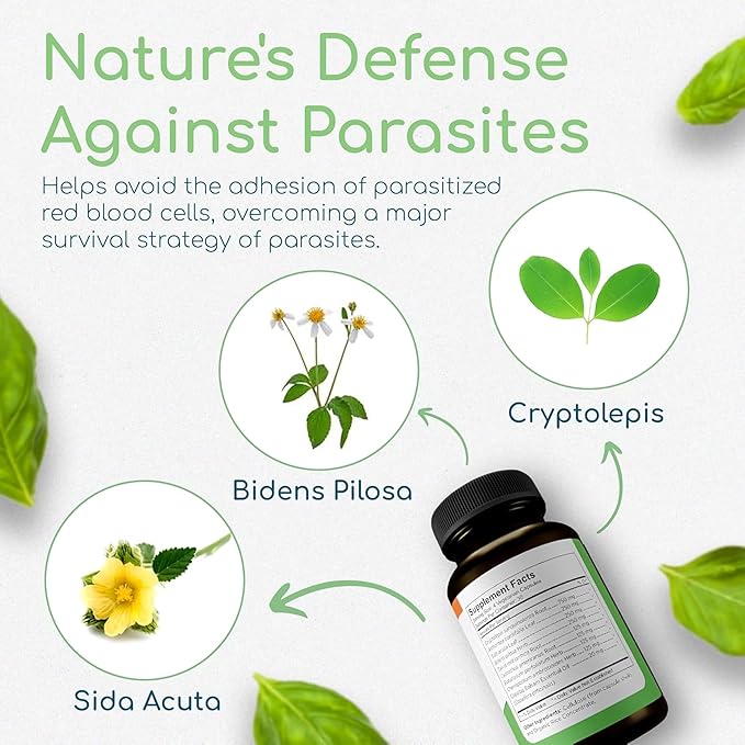 Cryptolepis Synergy Immune Support Vitamins Immune System Booster for Adults Liver Lymphatic &amp Immune Support Supplement Supports Lyme &amp Natural Parasite Defense 120 Capsules 3 Pack