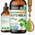 BIO KRAUTER® Centella Asiatica (Gotu Kola)- Liquid Drops Gotu Kola Extract 685 mg/Serving 4 Fl.Oz 56-Day Supply - Pure Vegan Brain Supplement Supports Calm Focus &amp Memory - Alcohol &amp Sugar F