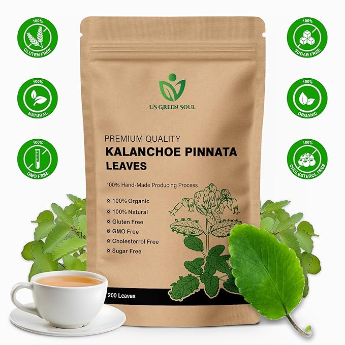 200 Kalanchoe Pinnata Leaves - 100% Pure Organic Dried Leaves for Teas Smoothies